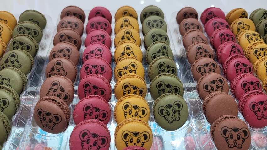 護色劑/顏色穩定劑